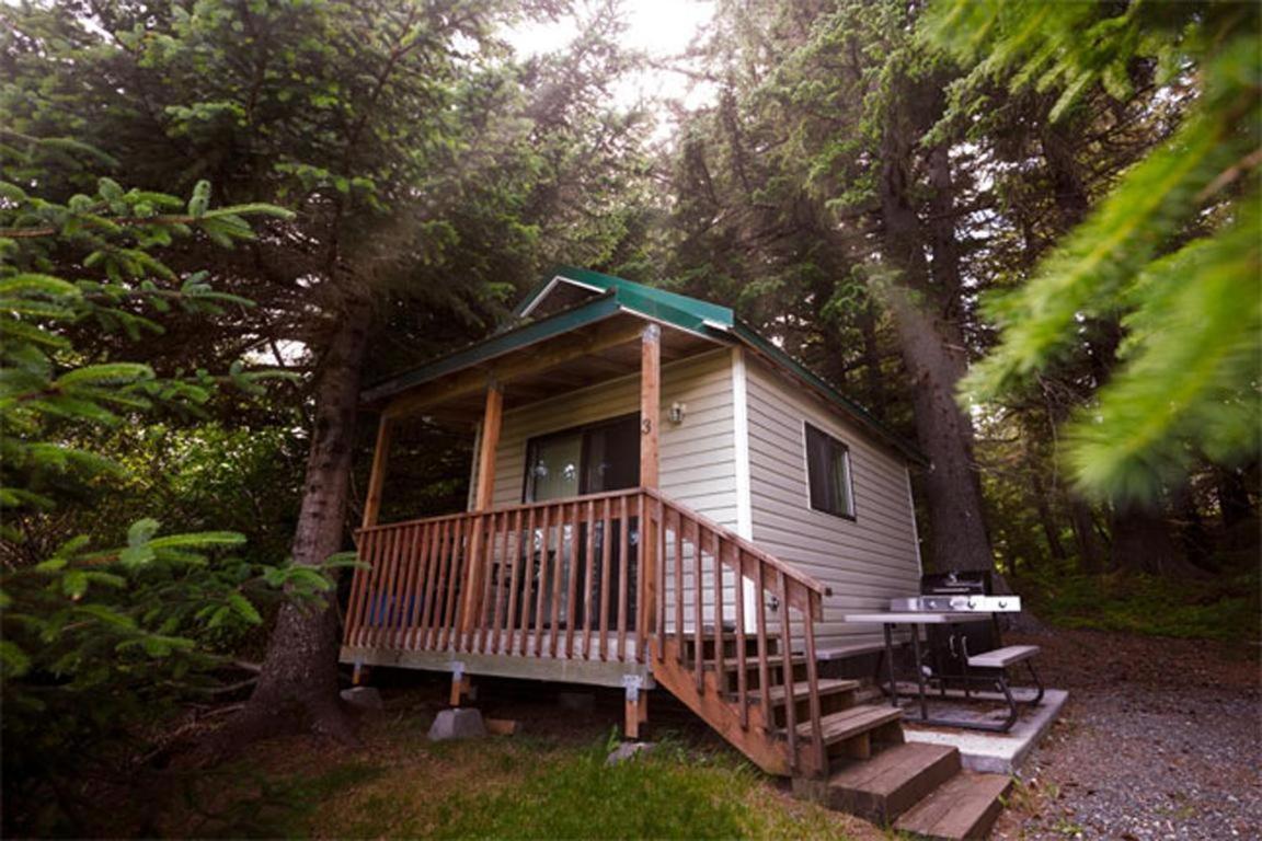 Cabin 3 Lynn View Lodge Haines Ngoại thất bức ảnh